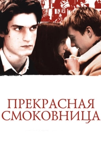 Прекрасная смоковница (2008)