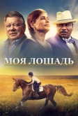 Моя лошадь (2016)