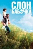 Слон и бабочка (2017)